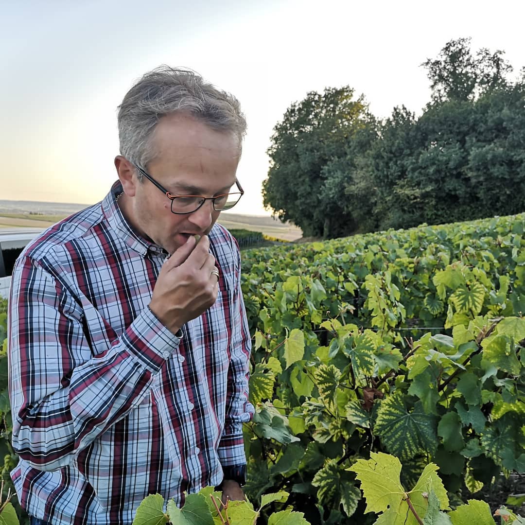 Delavenne Père & Fils｜ ヌーヴェル・セレクション Nouvelles